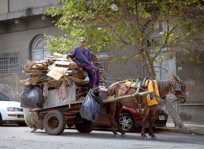 Carrero clasificador en Montevideo. Cartón. 01